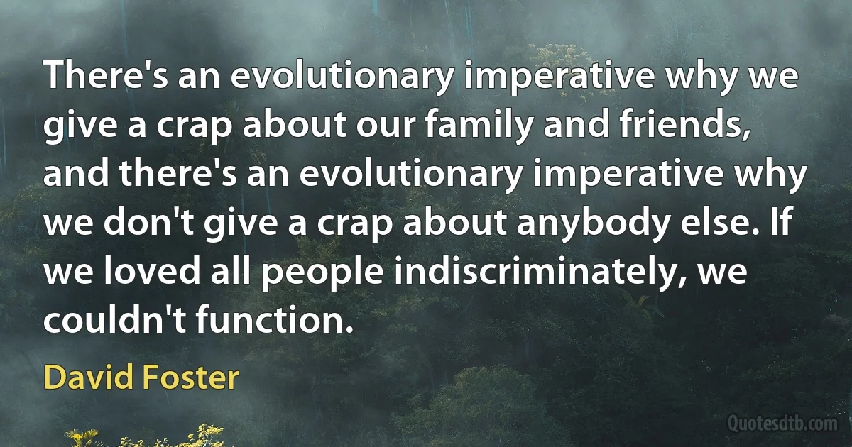 There's an evolutionary imperative why we give a crap about our family and friends, and there's an evolutionary imperative why we don't give a crap about anybody else. If we loved all people indiscriminately, we couldn't function. (David Foster)