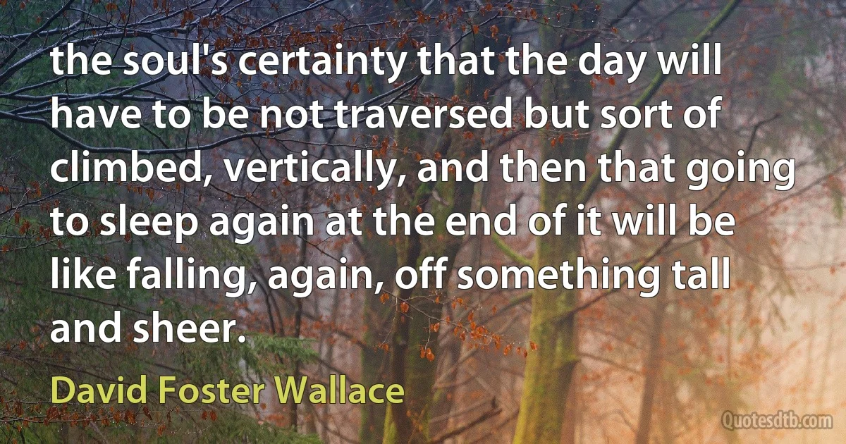 the soul's certainty that the day will have to be not traversed but sort of climbed, vertically, and then that going to sleep again at the end of it will be like falling, again, off something tall and sheer. (David Foster Wallace)