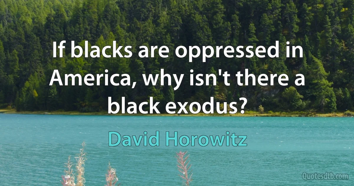 If blacks are oppressed in America, why isn't there a black exodus? (David Horowitz)