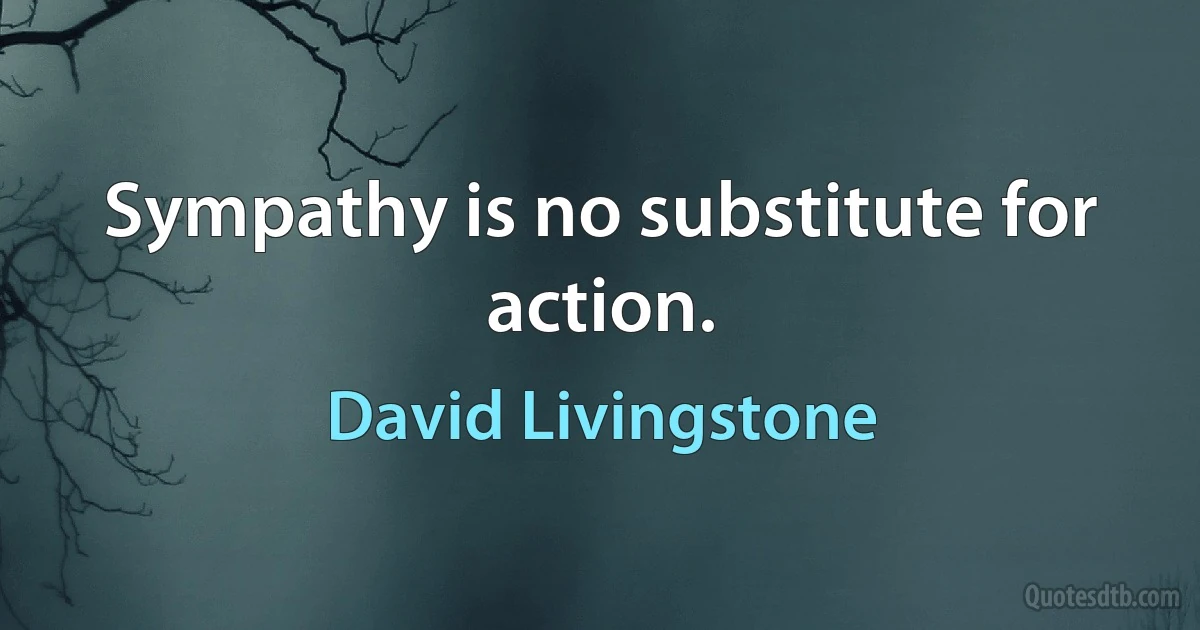 Sympathy is no substitute for action. (David Livingstone)