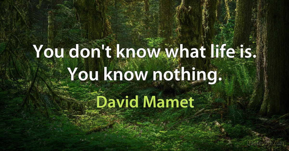 You don't know what life is. You know nothing. (David Mamet)