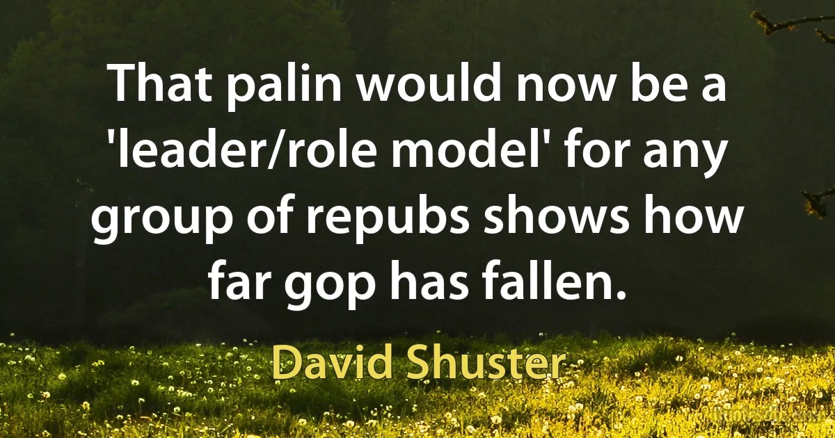 That palin would now be a 'leader/role model' for any group of repubs shows how far gop has fallen. (David Shuster)