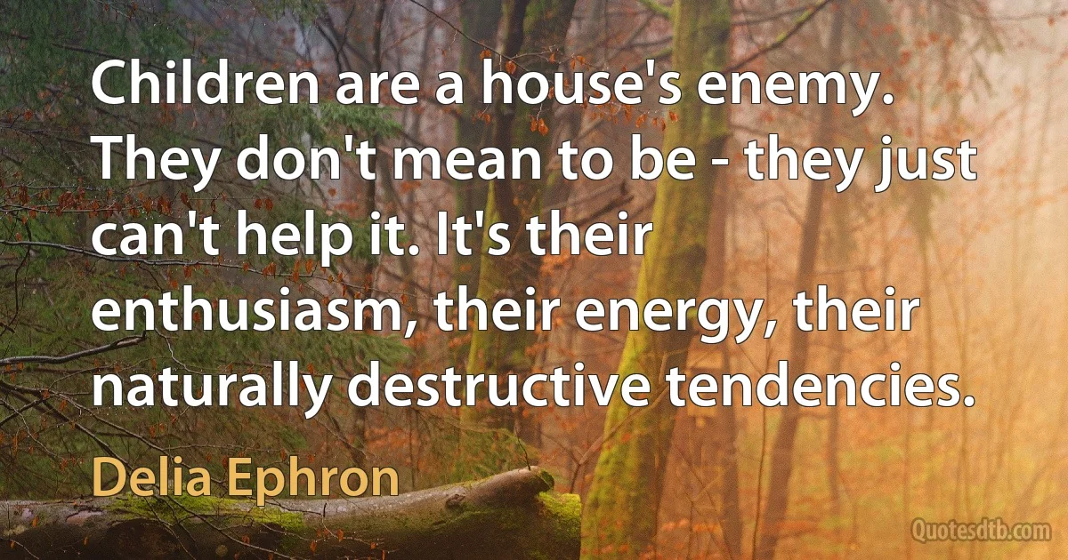 Children are a house's enemy. They don't mean to be - they just can't help it. It's their enthusiasm, their energy, their naturally destructive tendencies. (Delia Ephron)