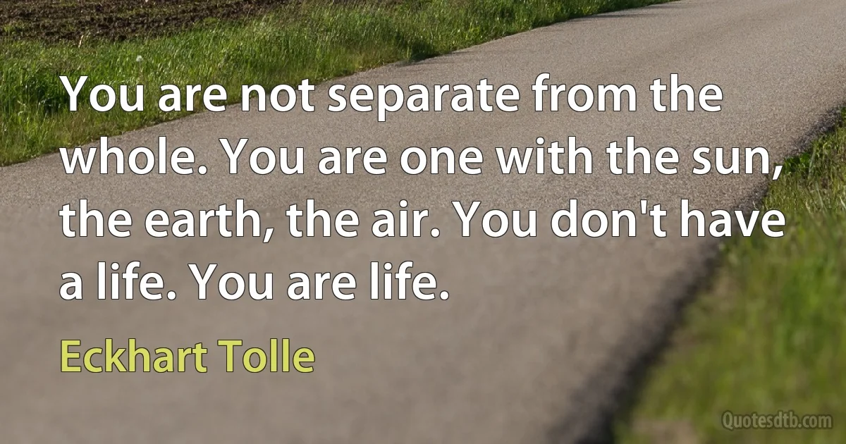 You are not separate from the whole. You are one with the sun, the earth, the air. You don't have a life. You are life. (Eckhart Tolle)