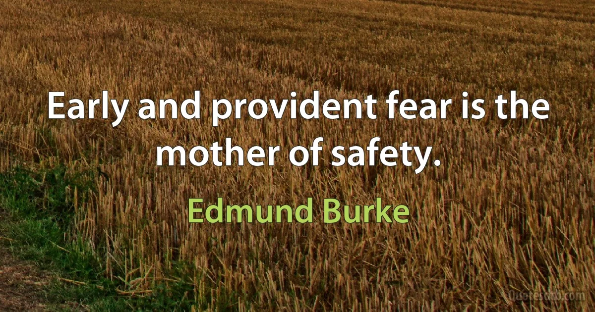 Early and provident fear is the mother of safety. (Edmund Burke)