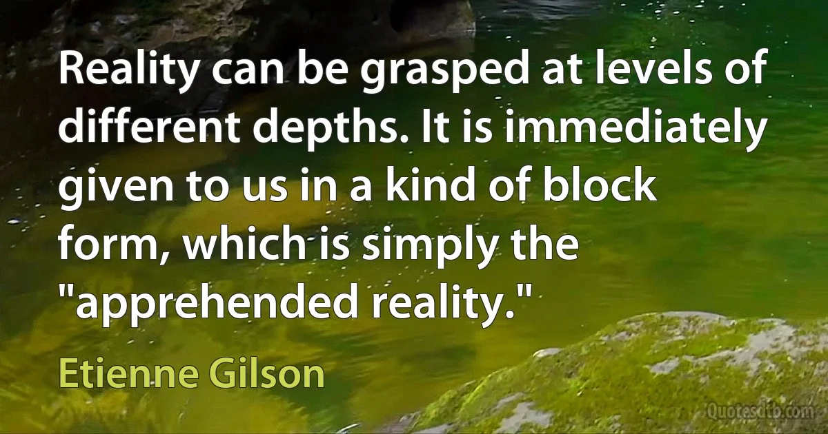 Reality can be grasped at levels of different depths. It is immediately given to us in a kind of block form, which is simply the "apprehended reality." (Etienne Gilson)