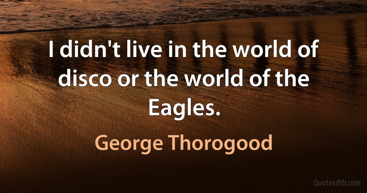 I didn't live in the world of disco or the world of the Eagles. (George Thorogood)