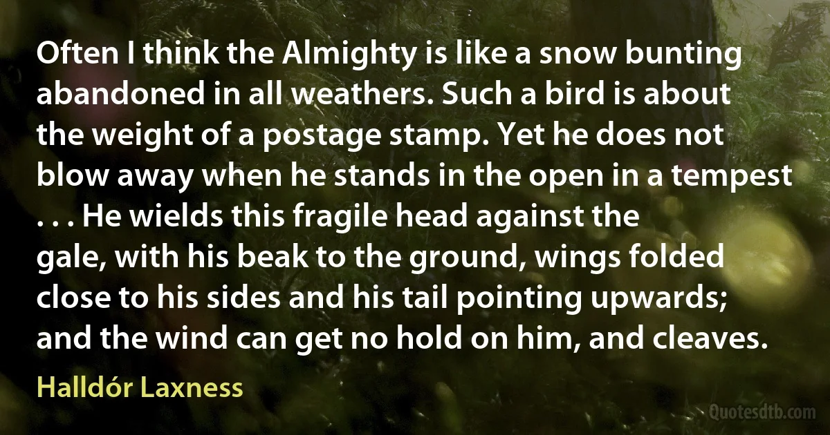 Often I think the Almighty is like a snow bunting abandoned in all weathers. Such a bird is about the weight of a postage stamp. Yet he does not blow away when he stands in the open in a tempest . . . He wields this fragile head against the gale, with his beak to the ground, wings folded close to his sides and his tail pointing upwards; and the wind can get no hold on him, and cleaves. (Halldór Laxness)