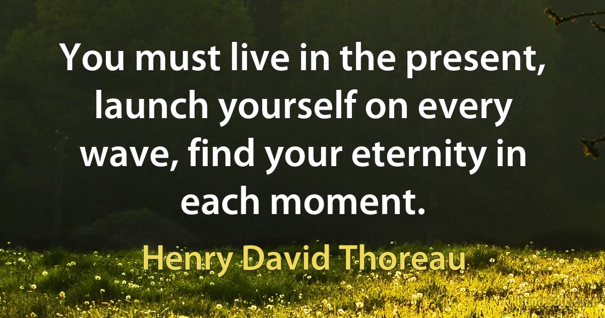 You must live in the present, launch yourself on every wave, find your eternity in each moment. (Henry David Thoreau)