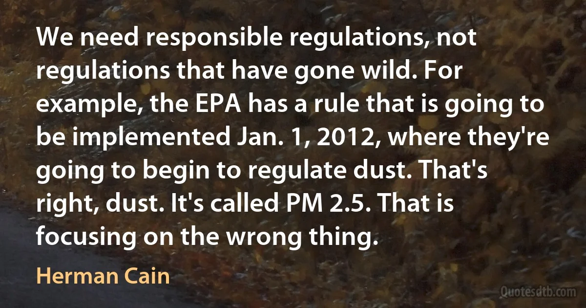 We need responsible regulations, not regulations that have gone wild. For example, the EPA has a rule that is going to be implemented Jan. 1, 2012, where they're going to begin to regulate dust. That's right, dust. It's called PM 2.5. That is focusing on the wrong thing. (Herman Cain)