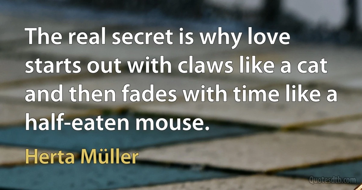 The real secret is why love starts out with claws like a cat and then fades with time like a half-eaten mouse. (Herta Müller)