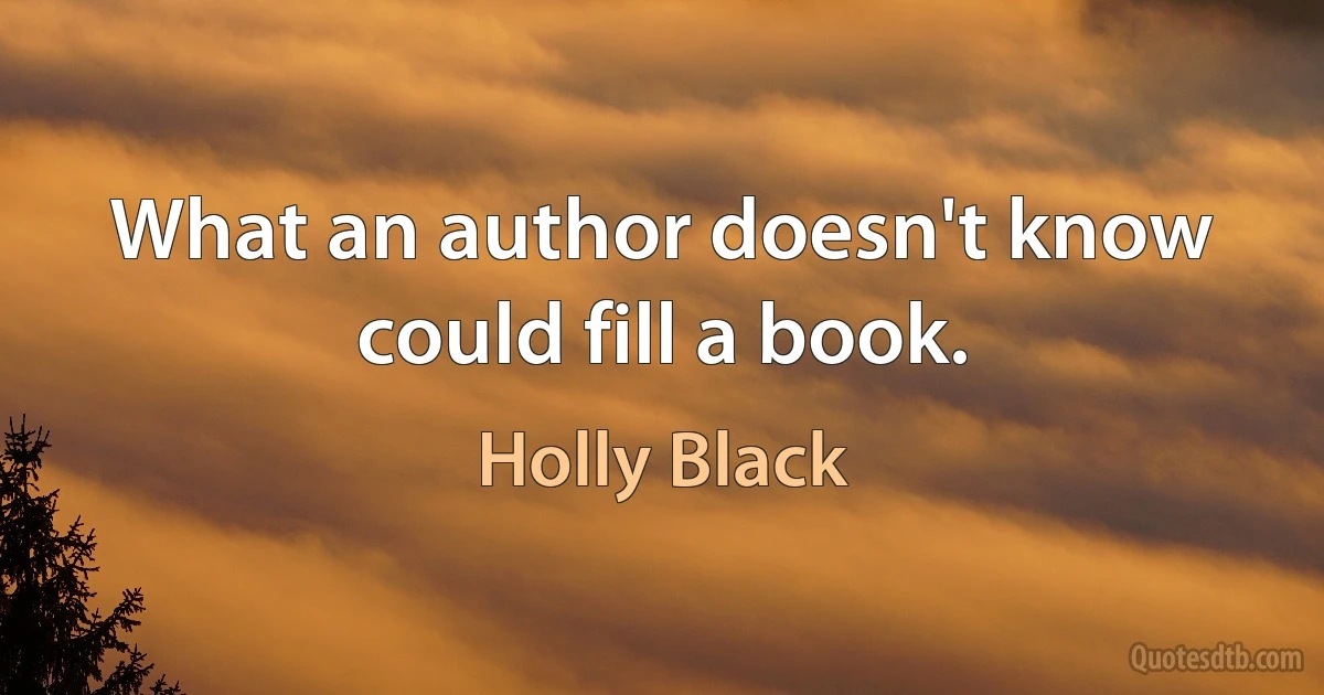 What an author doesn't know could fill a book. (Holly Black)