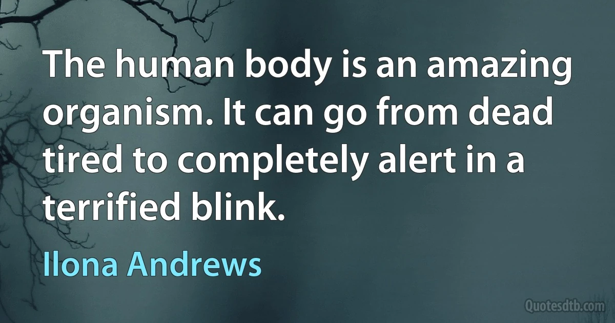 The human body is an amazing organism. It can go from dead tired to completely alert in a terrified blink. (Ilona Andrews)