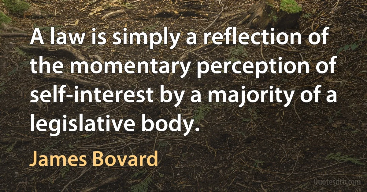 A law is simply a reflection of the momentary perception of self-interest by a majority of a legislative body. (James Bovard)