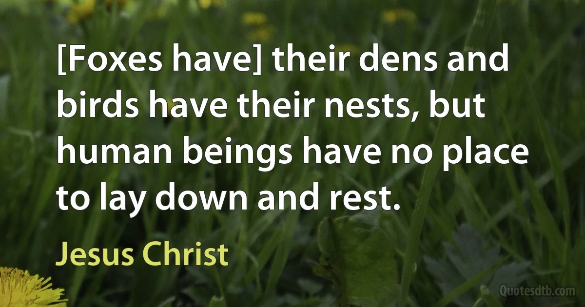 [Foxes have] their dens and birds have their nests, but human beings have no place to lay down and rest. (Jesus Christ)