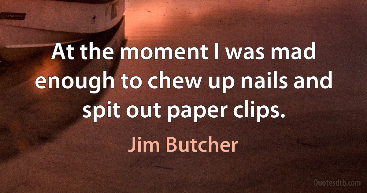 At the moment I was mad enough to chew up nails and spit out paper clips. (Jim Butcher)