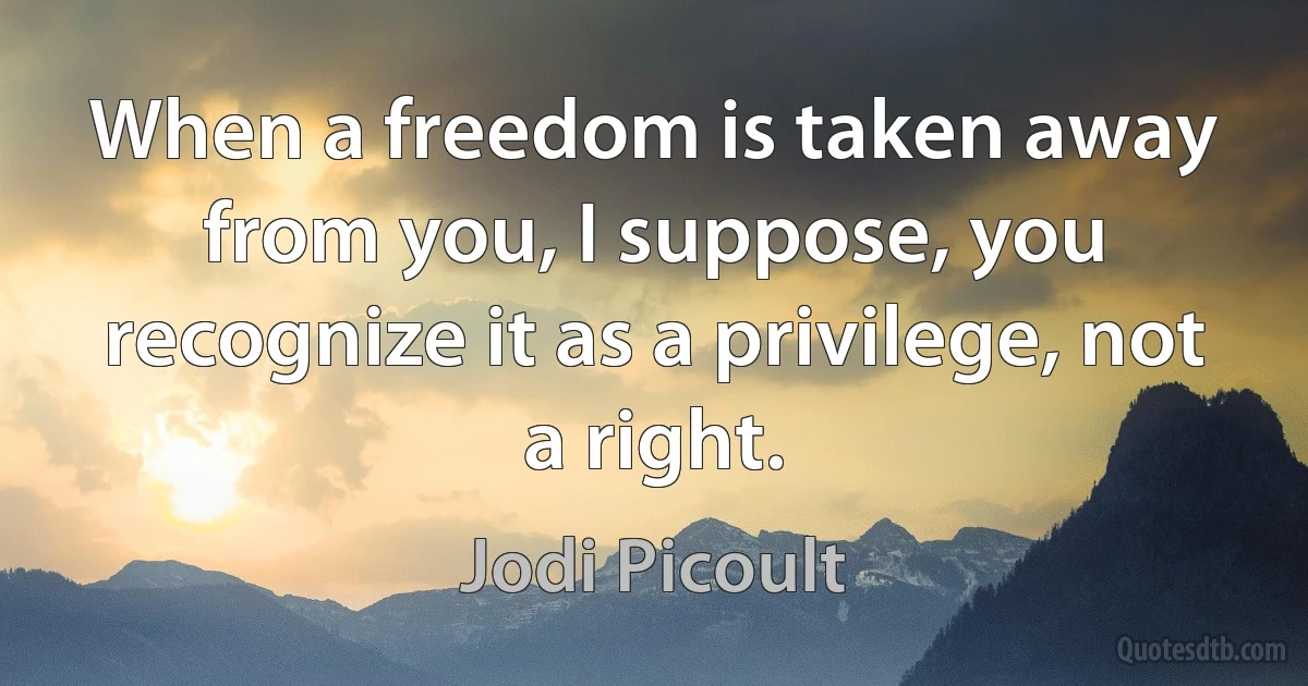 When a freedom is taken away from you, I suppose, you recognize it as a privilege, not a right. (Jodi Picoult)