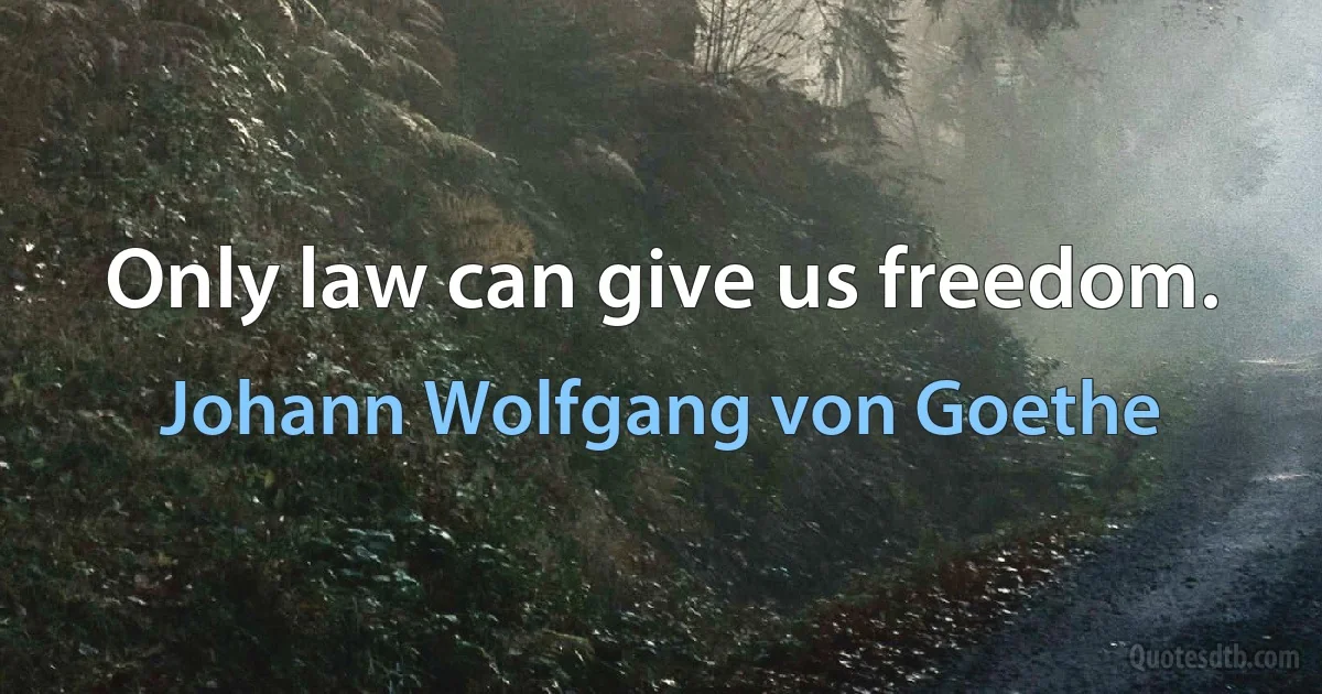 Only law can give us freedom. (Johann Wolfgang von Goethe)