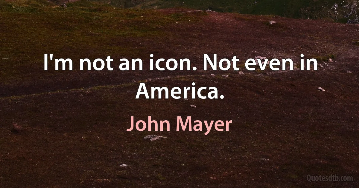 I'm not an icon. Not even in America. (John Mayer)