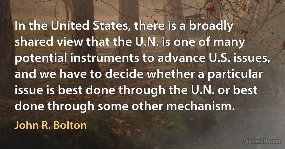 In the United States, there is a broadly shared view that the U.N. is one of many potential instruments to advance U.S. issues, and we have to decide whether a particular issue is best done through the U.N. or best done through some other mechanism. (John R. Bolton)