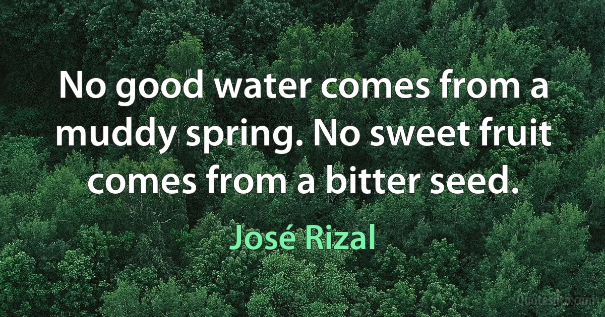 No good water comes from a muddy spring. No sweet fruit comes from a bitter seed. (José Rizal)