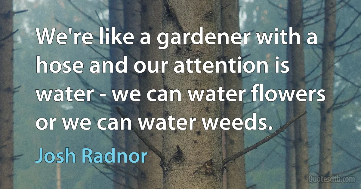 We're like a gardener with a hose and our attention is water - we can water flowers or we can water weeds. (Josh Radnor)