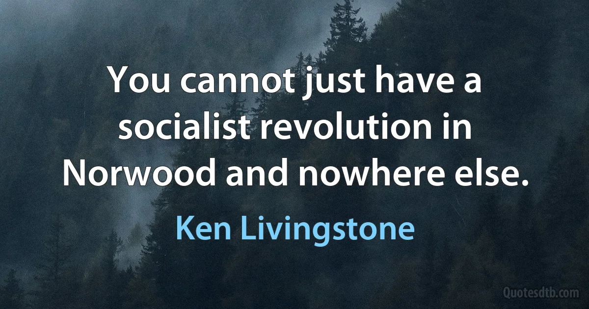 You cannot just have a socialist revolution in Norwood and nowhere else. (Ken Livingstone)