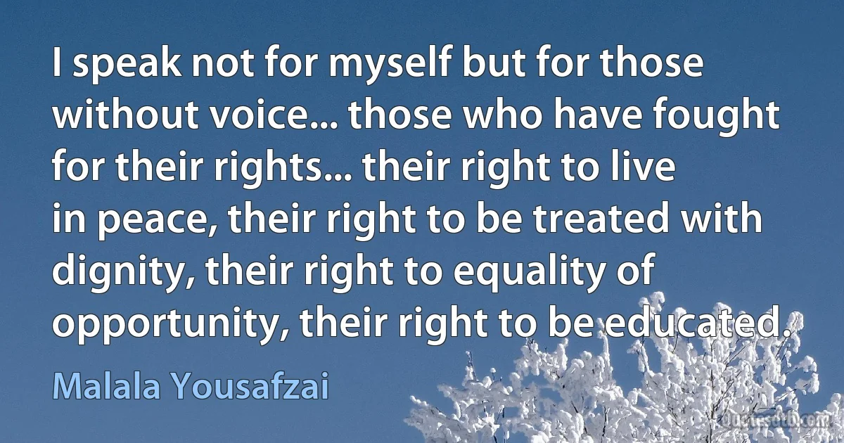 I speak not for myself but for those without voice... those who have fought for their rights... their right to live in peace, their right to be treated with dignity, their right to equality of opportunity, their right to be educated. (Malala Yousafzai)