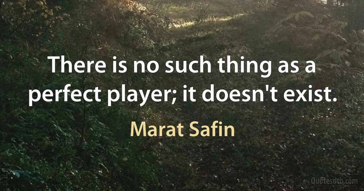 There is no such thing as a perfect player; it doesn't exist. (Marat Safin)