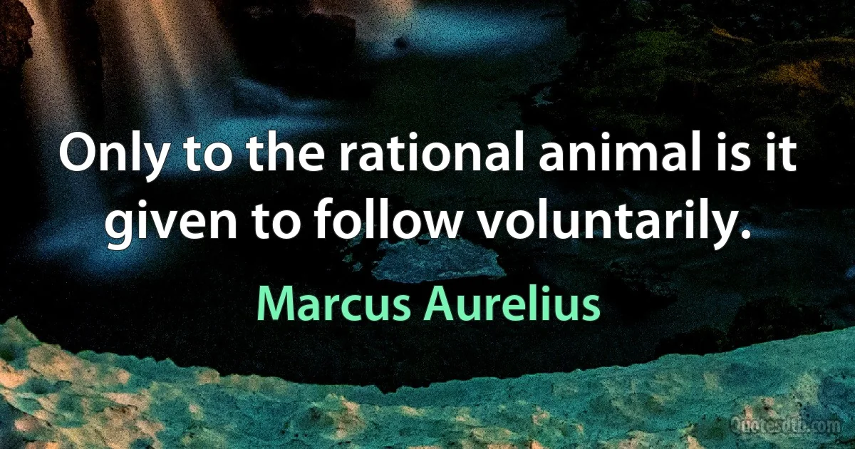 Only to the rational animal is it given to follow voluntarily. (Marcus Aurelius)