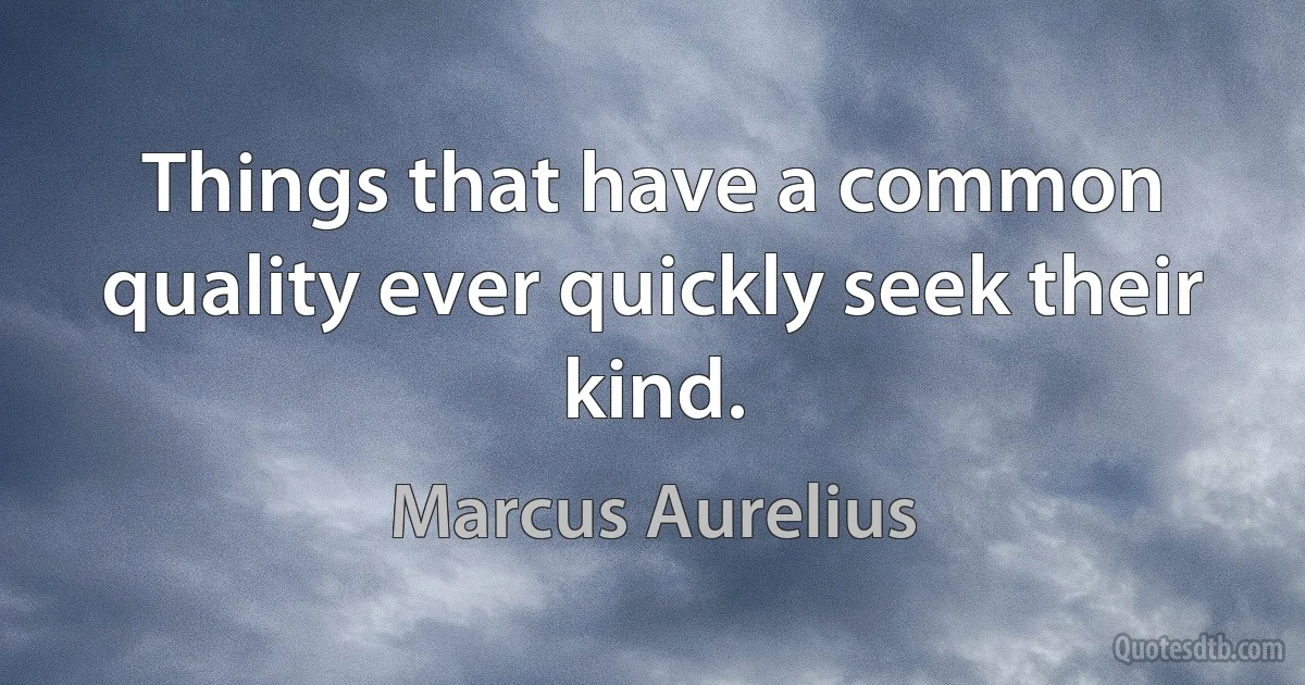 Things that have a common quality ever quickly seek their kind. (Marcus Aurelius)