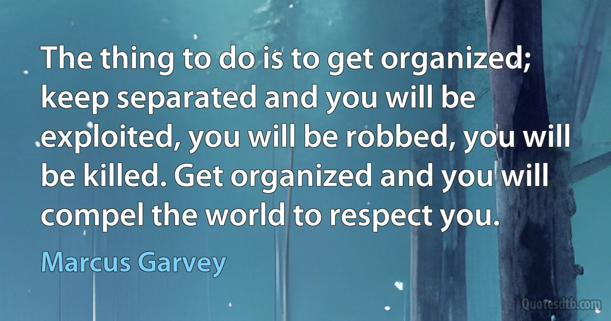 The thing to do is to get organized; keep separated and you will be exploited, you will be robbed, you will be killed. Get organized and you will compel the world to respect you. (Marcus Garvey)