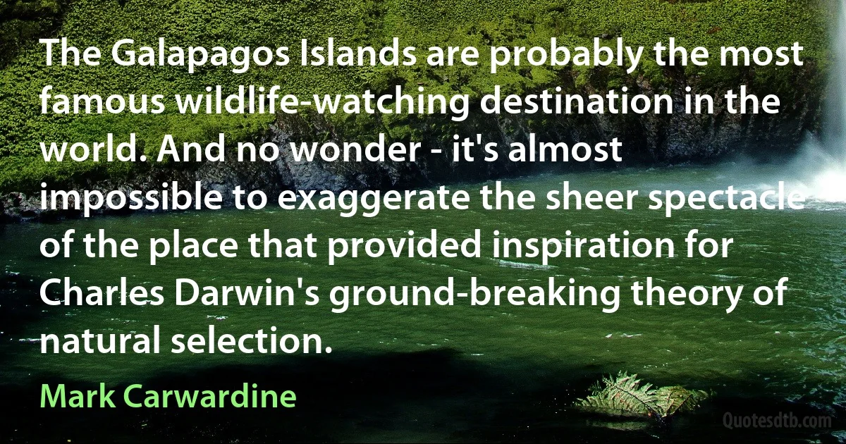 The Galapagos Islands are probably the most famous wildlife-watching destination in the world. And no wonder - it's almost impossible to exaggerate the sheer spectacle of the place that provided inspiration for Charles Darwin's ground-breaking theory of natural selection. (Mark Carwardine)