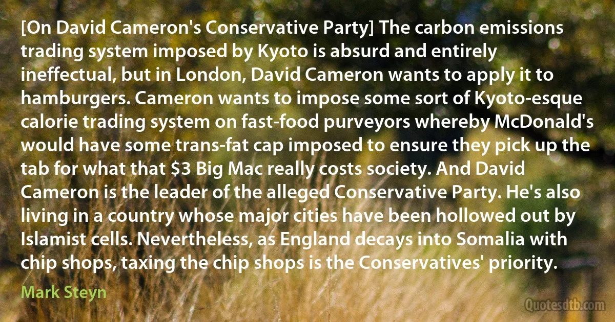 [On David Cameron's Conservative Party] The carbon emissions trading system imposed by Kyoto is absurd and entirely ineffectual, but in London, David Cameron wants to apply it to hamburgers. Cameron wants to impose some sort of Kyoto-esque calorie trading system on fast-food purveyors whereby McDonald's would have some trans-fat cap imposed to ensure they pick up the tab for what that $3 Big Mac really costs society. And David Cameron is the leader of the alleged Conservative Party. He's also living in a country whose major cities have been hollowed out by Islamist cells. Nevertheless, as England decays into Somalia with chip shops, taxing the chip shops is the Conservatives' priority. (Mark Steyn)