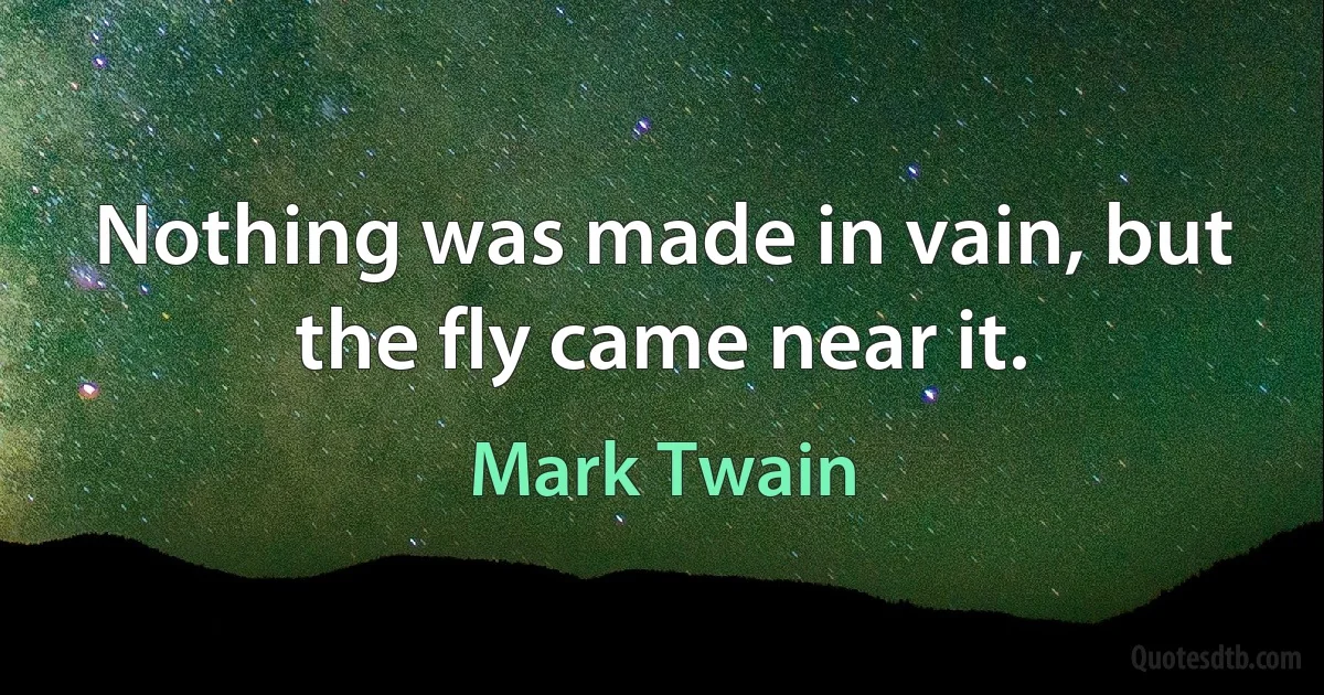 Nothing was made in vain, but the fly came near it. (Mark Twain)