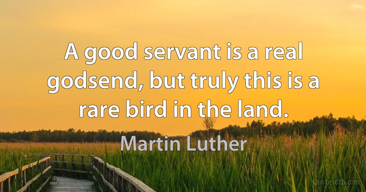 A good servant is a real godsend, but truly this is a rare bird in the land. (Martin Luther)