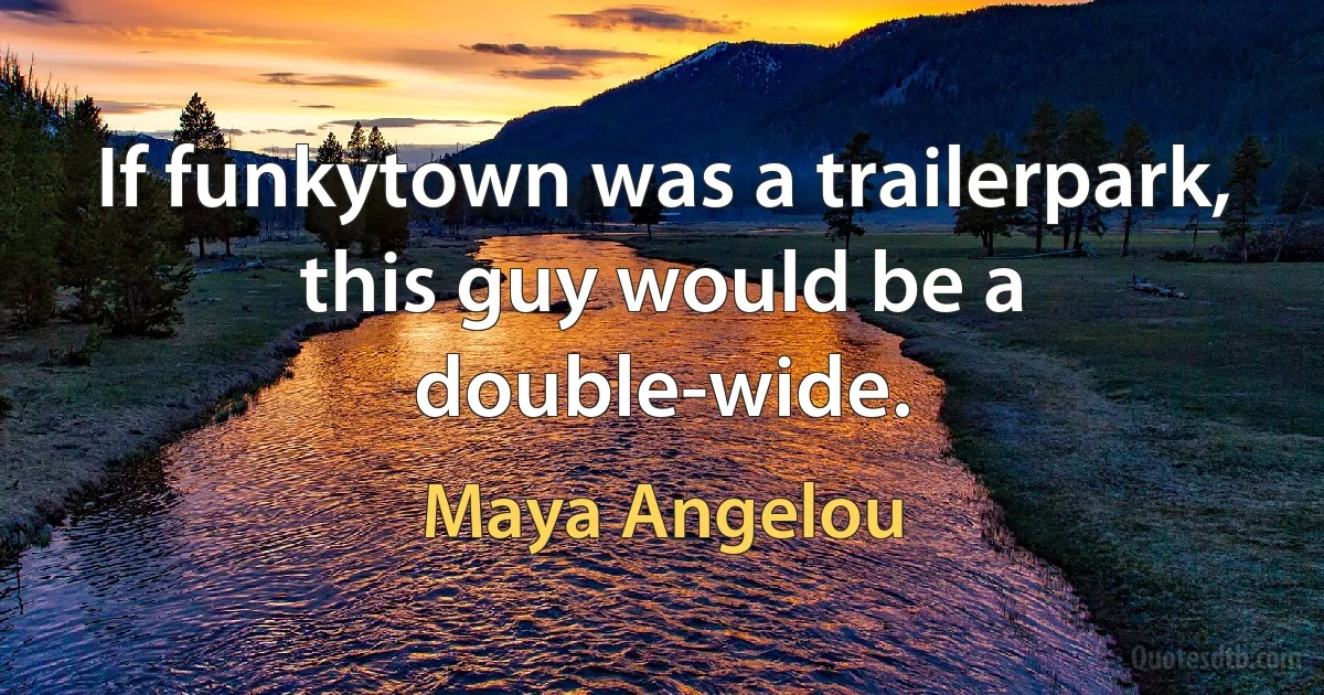 If funkytown was a trailerpark, this guy would be a double-wide. (Maya Angelou)