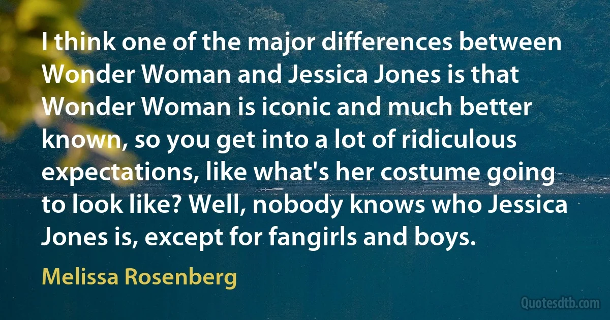 I think one of the major differences between Wonder Woman and Jessica Jones is that Wonder Woman is iconic and much better known, so you get into a lot of ridiculous expectations, like what's her costume going to look like? Well, nobody knows who Jessica Jones is, except for fangirls and boys. (Melissa Rosenberg)