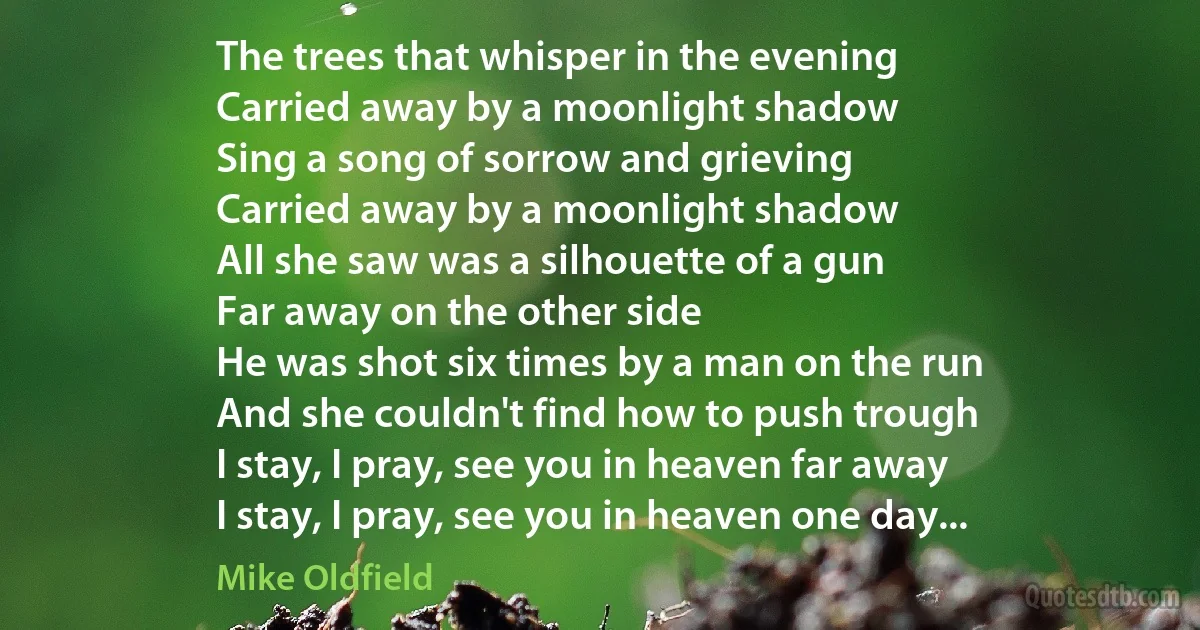 The trees that whisper in the evening
Carried away by a moonlight shadow
Sing a song of sorrow and grieving
Carried away by a moonlight shadow
All she saw was a silhouette of a gun
Far away on the other side
He was shot six times by a man on the run
And she couldn't find how to push trough
I stay, I pray, see you in heaven far away
I stay, I pray, see you in heaven one day... (Mike Oldfield)