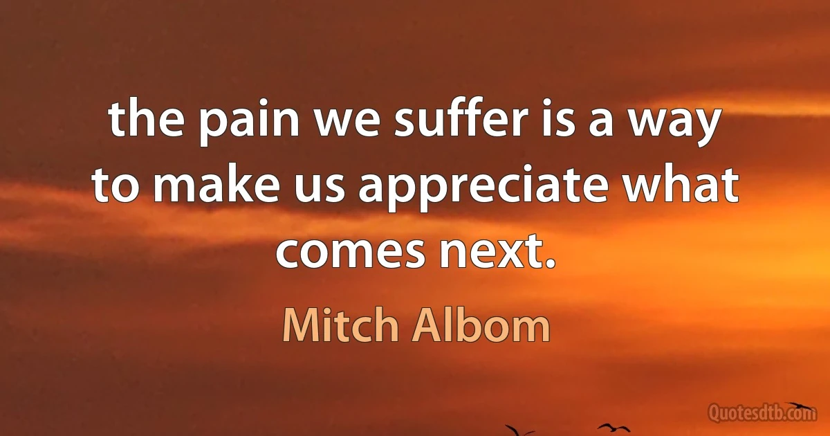 the pain we suffer is a way to make us appreciate what comes next. (Mitch Albom)