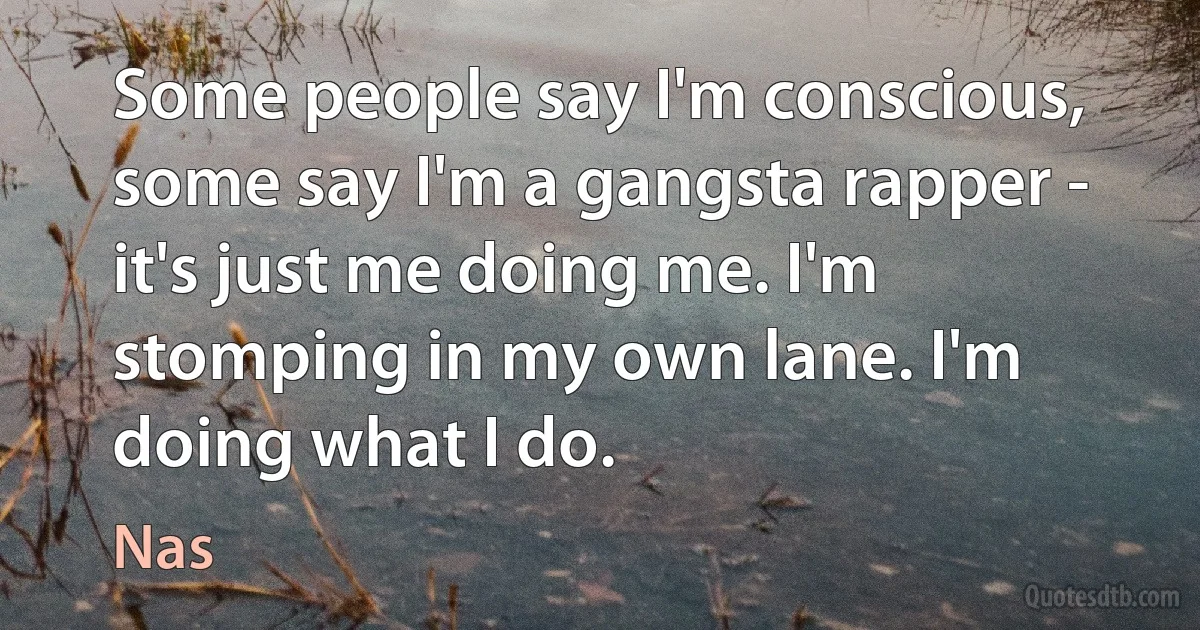 Some people say I'm conscious, some say I'm a gangsta rapper - it's just me doing me. I'm stomping in my own lane. I'm doing what I do. (Nas)