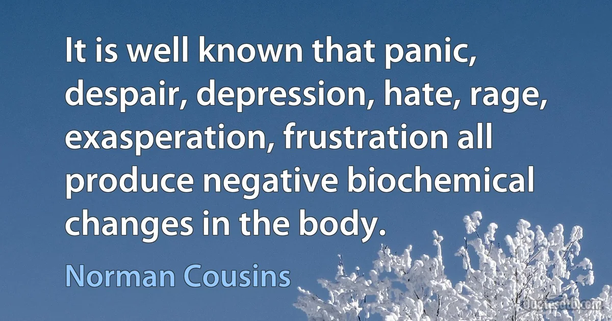 It is well known that panic, despair, depression, hate, rage, exasperation, frustration all produce negative biochemical changes in the body. (Norman Cousins)