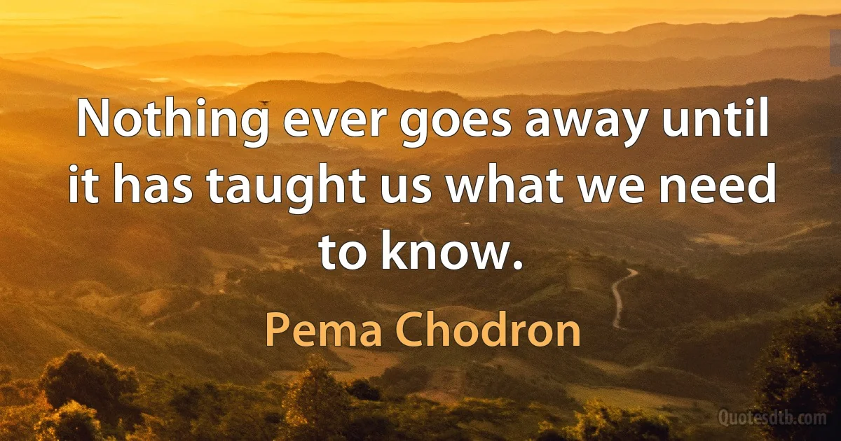 Nothing ever goes away until it has taught us what we need to know. (Pema Chodron)