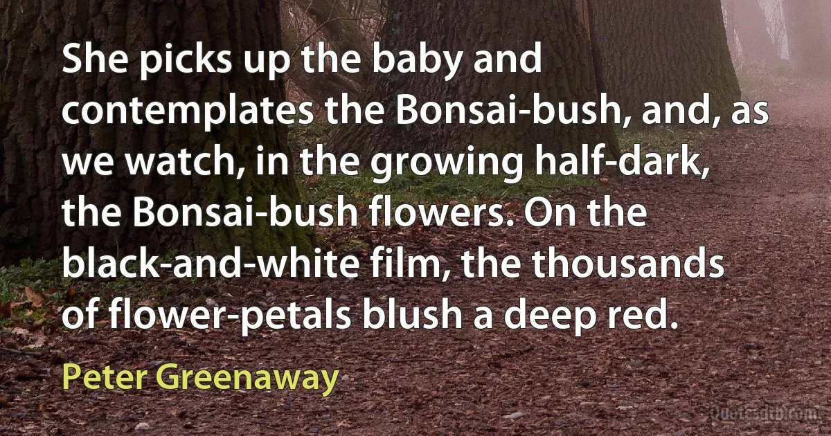 She picks up the baby and contemplates the Bonsai-bush, and, as we watch, in the growing half-dark, the Bonsai-bush flowers. On the black-and-white film, the thousands of flower-petals blush a deep red. (Peter Greenaway)