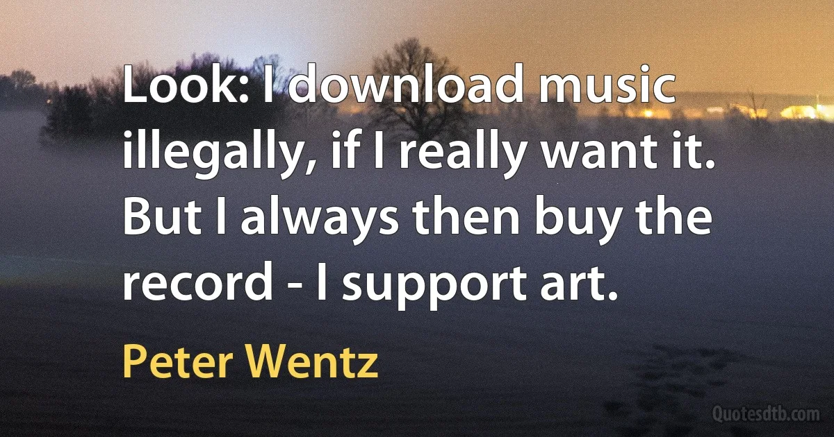 Look: I download music illegally, if I really want it. But I always then buy the record - I support art. (Peter Wentz)