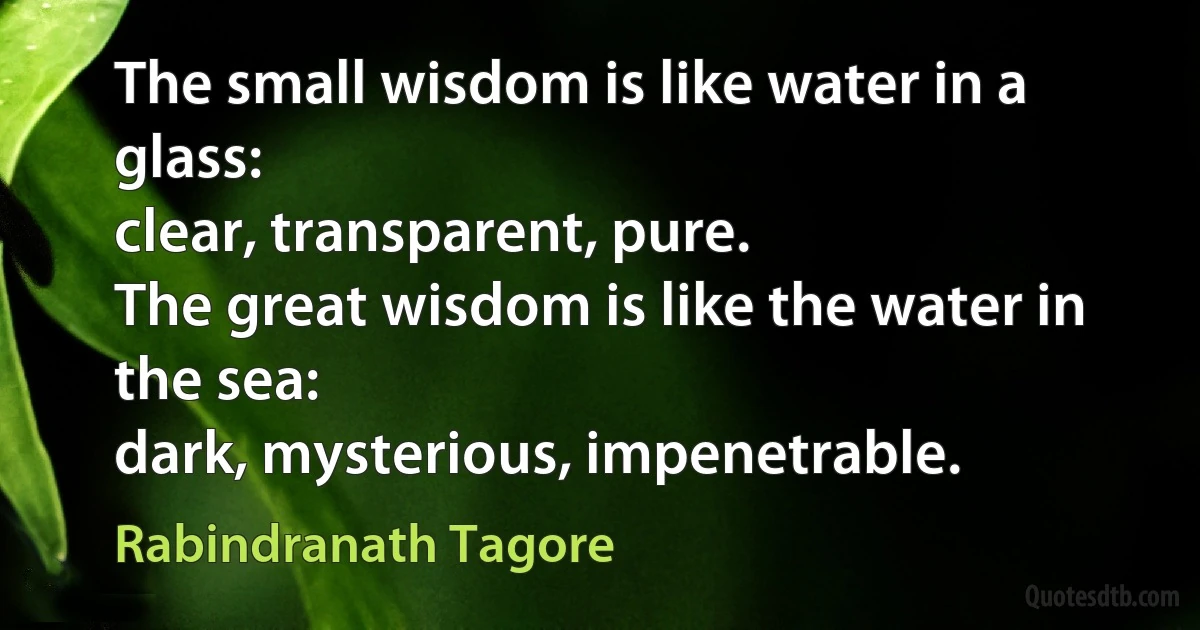 The small wisdom is like water in a glass:
clear, transparent, pure.
The great wisdom is like the water in the sea:
dark, mysterious, impenetrable. (Rabindranath Tagore)