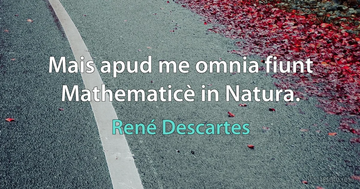 Mais apud me omnia fiunt Mathematicè in Natura. (René Descartes)