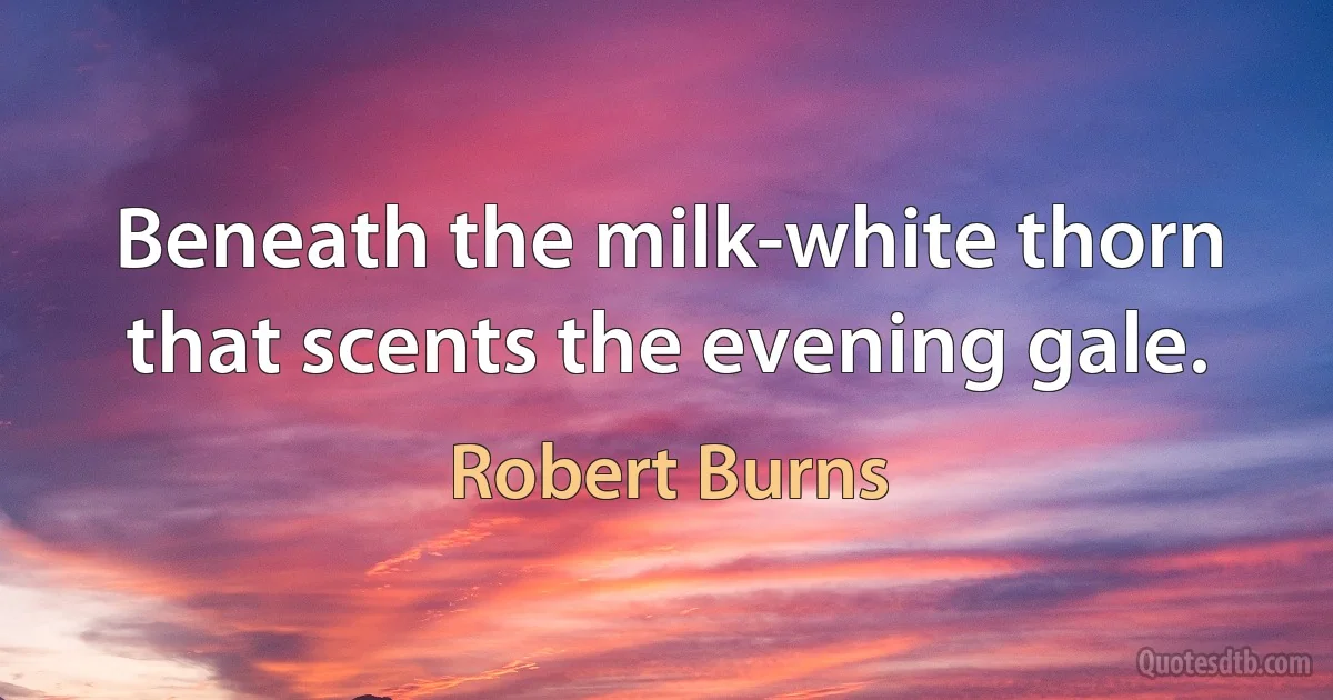 Beneath the milk-white thorn that scents the evening gale. (Robert Burns)