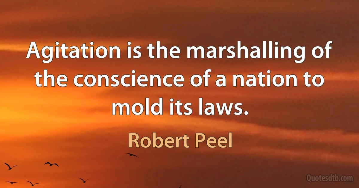 Agitation is the marshalling of the conscience of a nation to mold its laws. (Robert Peel)