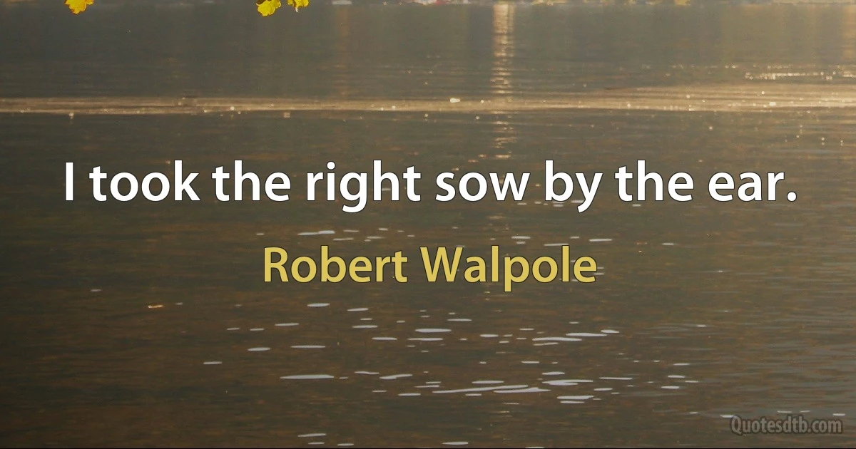 I took the right sow by the ear. (Robert Walpole)